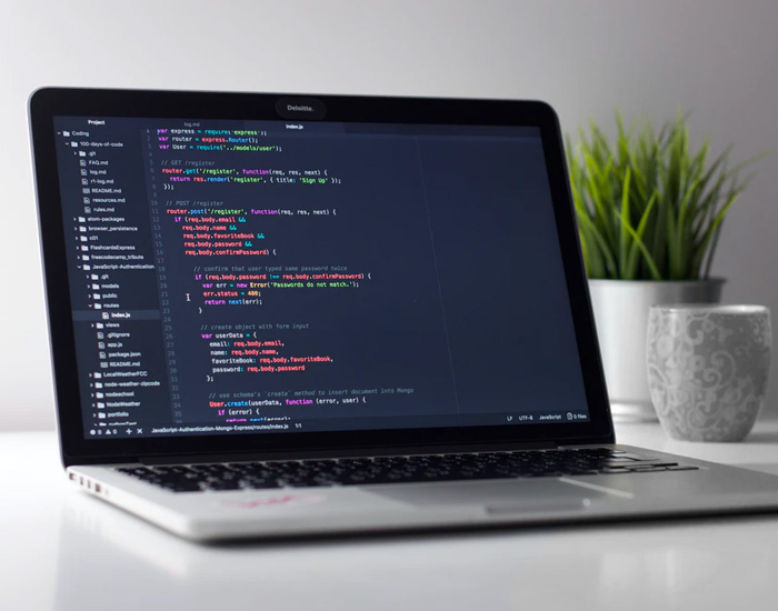 Web Design